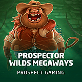 Prospector Wilds Megaways