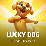 Lucky Dog