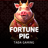 Fortune Pig