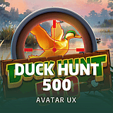 Duck Hunt 500